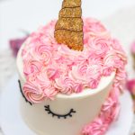 SSUnicorn