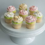 Cream and Blush Collection