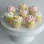 Cream and Blush Collection