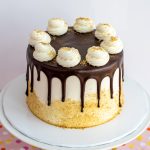 Celebration S'mores