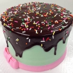Classic Sprinkle Chocolate