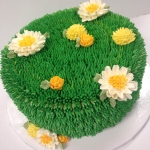 Signature Grassy Flower Field
