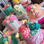 Case-Cakes-Crop