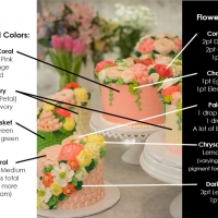 Color-chart-garden-cakes