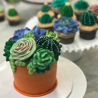 Succulent-cake-small