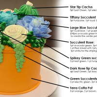 Succulent-chart