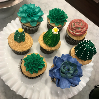 Succulent-cupcakes-small